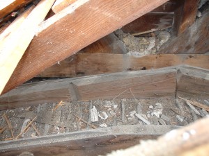Fig. 6.  Rusticated siding used as nailers in south porch ceiling - photo courtesy Don Jordan and Peter Post.